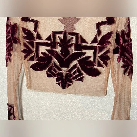 For love and lemons Elegant Sheer Top with Velvet Accents size small - Picture 5 of 11